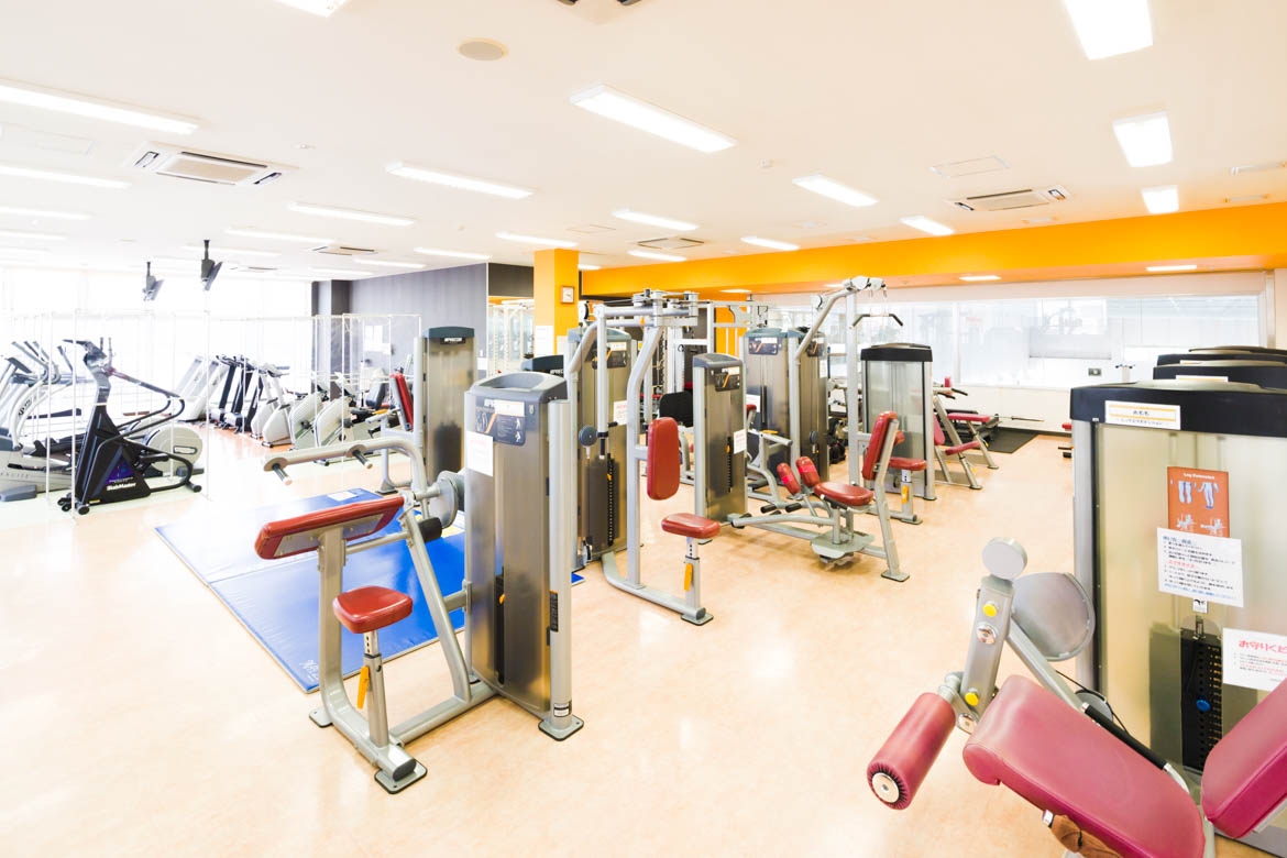 アスキスハイポとは